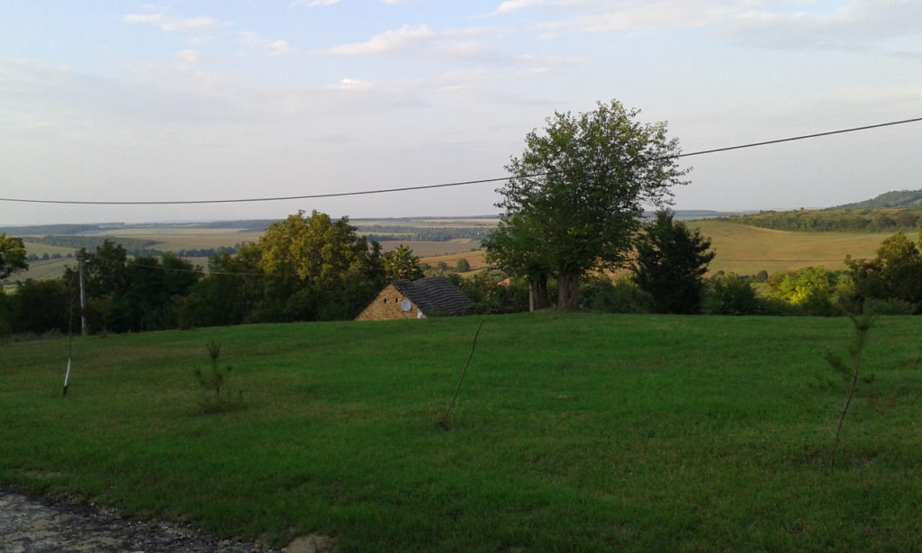 Magyaren