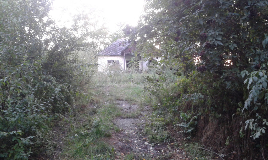 Magyaren