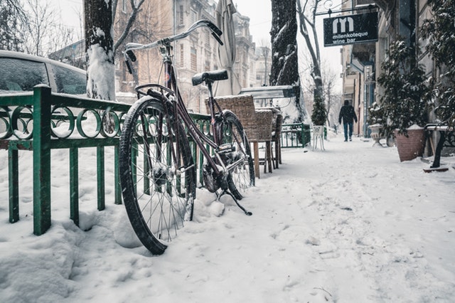 Winter