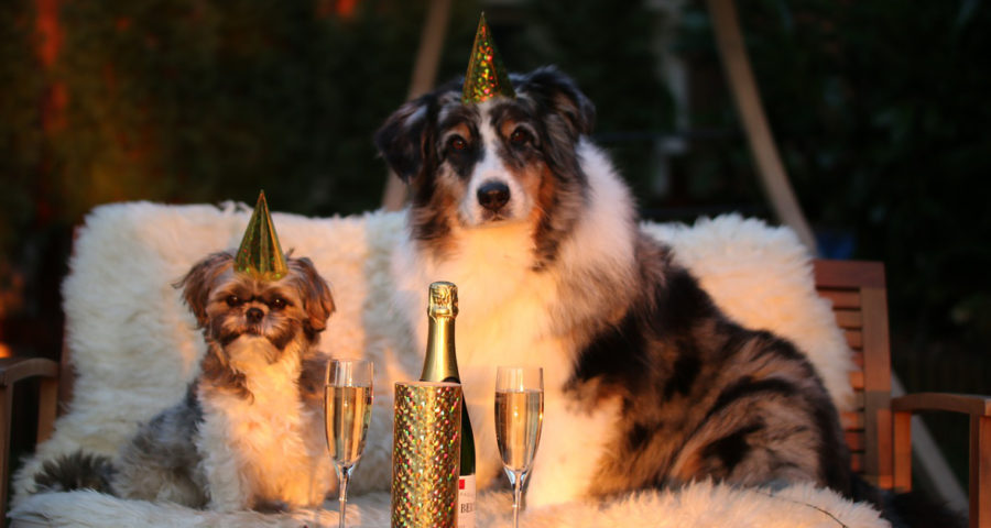 Silvester